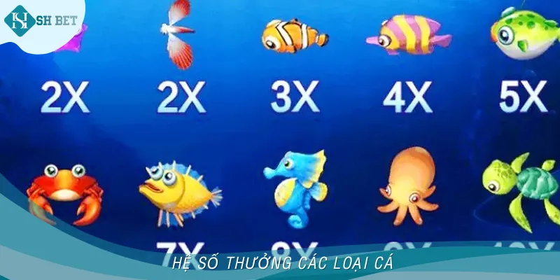 Hệ số thưởng của các loài cá