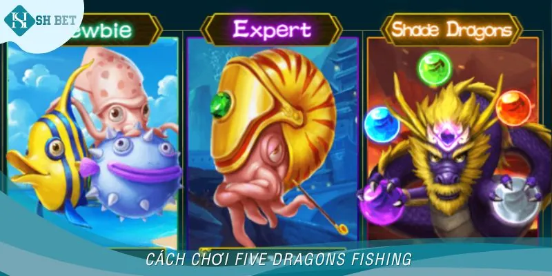 Quy tắc chơi đơn giản nhưng đầy kích thích