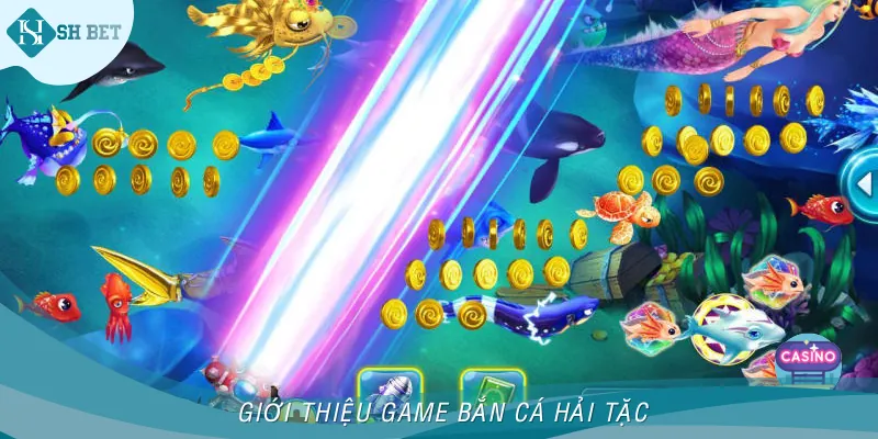 Giới thiệu bet thủ trò chơi săn cá Hải Tặc