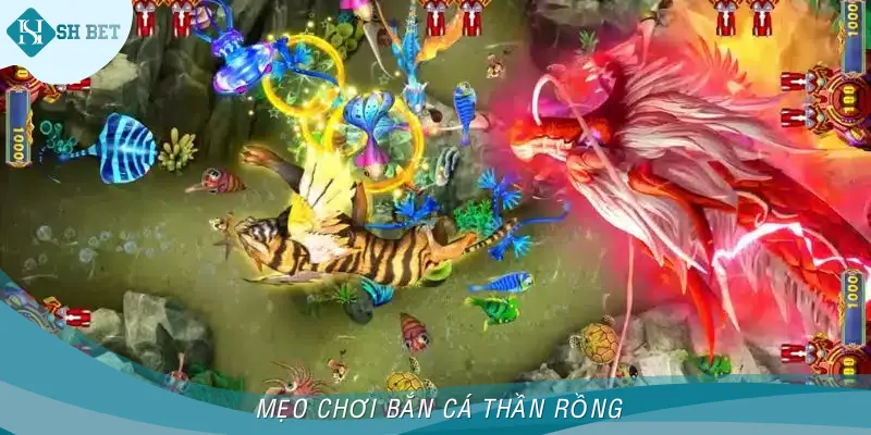 Mẹo được áp dụng vào bắn cá thần rồng