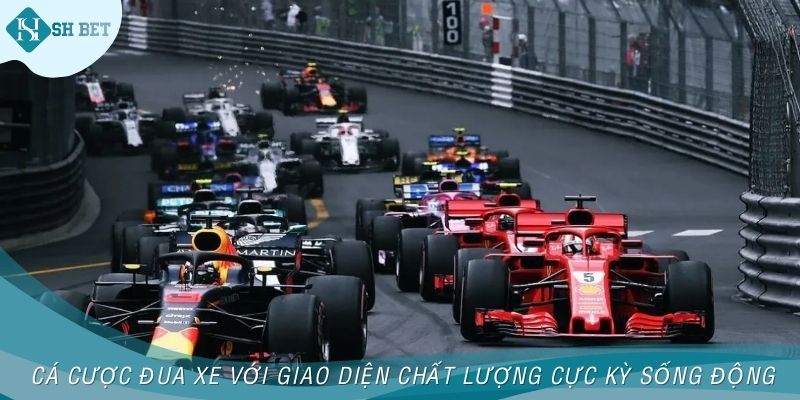 Cá cược đua xe với giao diện chất lượng cực kỳ sống động