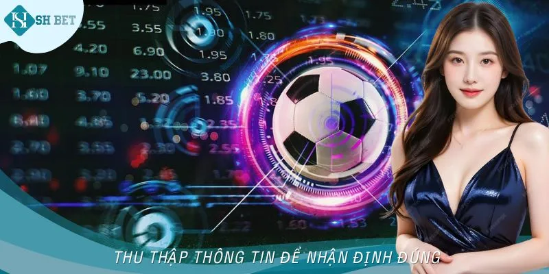 Thu thập thông tin mới ra được nhận định