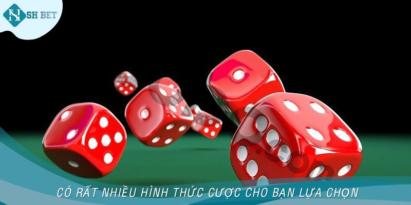 Có rất nhiều hình thức cược cho bạn lựa chọn