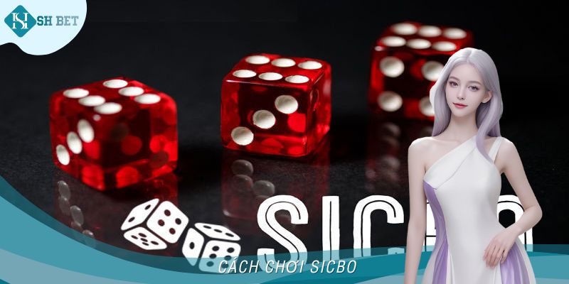 Cách Chơi Sicbo SHBET Hiệu Quả Bạn Nên Nắm Vững 2025
