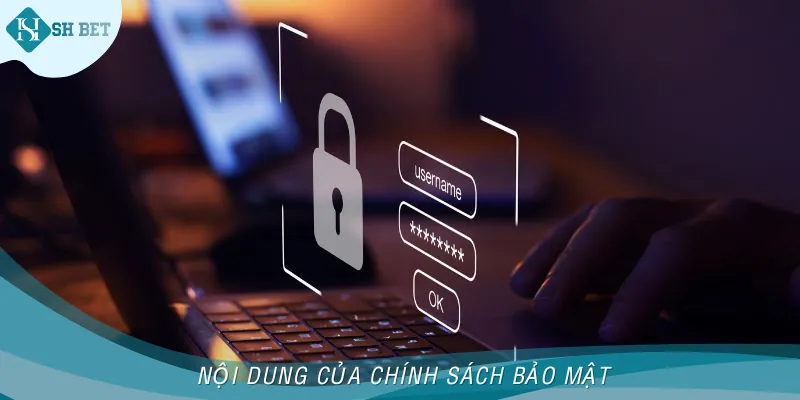Nội dung thường thấy ở chính sách bảo mật