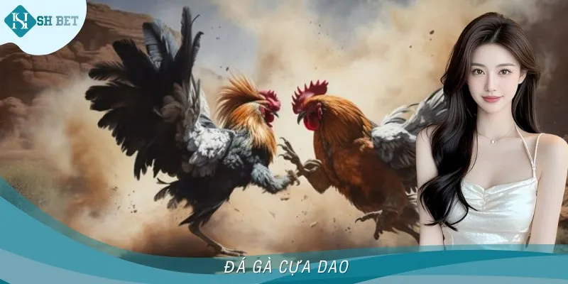 Đá Gà Cựa Dao SHBET - Đấu Trường Hấp Dẫn Và Siêu Kịch Tính