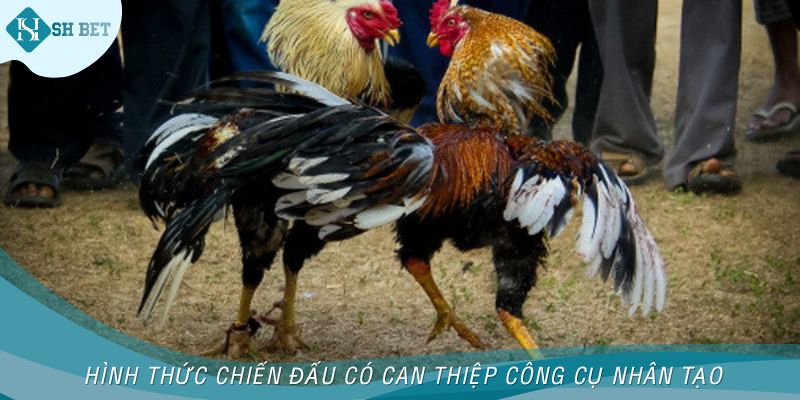 Hình thức chiến đấu có can thiệp công cụ nhân tạo