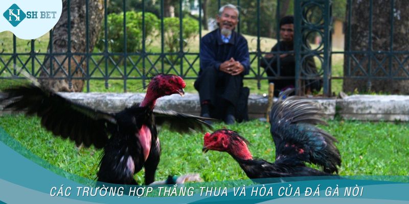 Các trường hợp thắng thua và hòa của đá gà nòi