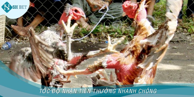 Tốc độ nhận tiền thưởng nhanh chóng