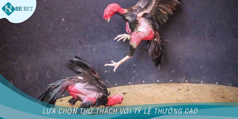 Lựa chọn thử thách với tỷ lệ thưởng cao