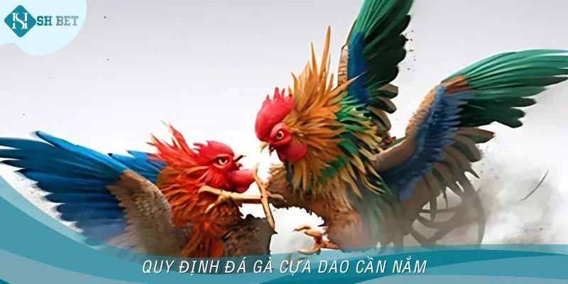 Quy định cần nắm rõ khi tham gia đá gà tại nền tảng