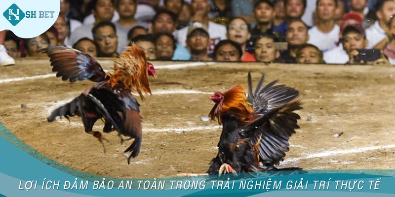 Lợi ích đảm bảo an toàn trong trải nghiệm giải trí thực tế