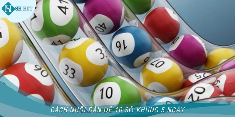 Mẹo để nuôi dàn đề 10 số khung 5 ngày miễn phí uy tín