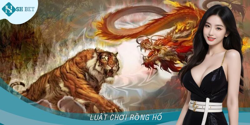 Luật Chơi Rồng Hổ SHBET Dễ Hiểu Dành Cho Thành Viên Mới