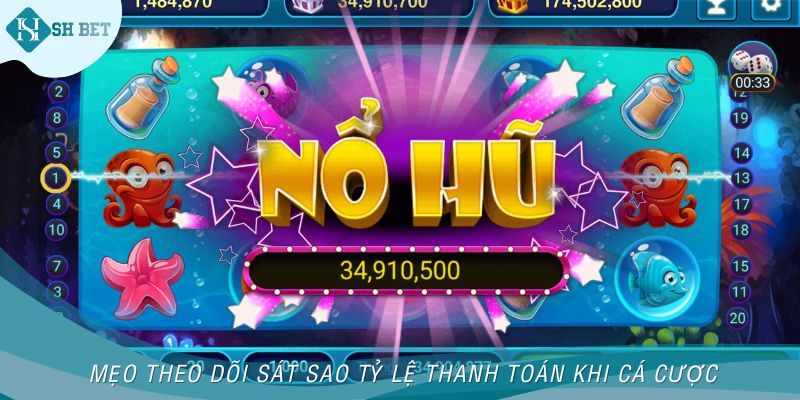 Mẹo theo dõi sát sao tỷ lệ thanh toán khi cá cược